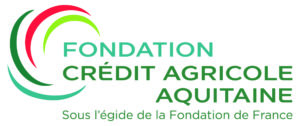 Fondation-CAA-scaled-1-300x126