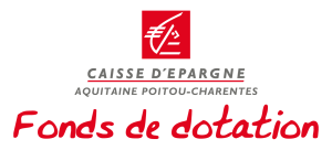 Logo_Fonds-de-dotation_vertical
